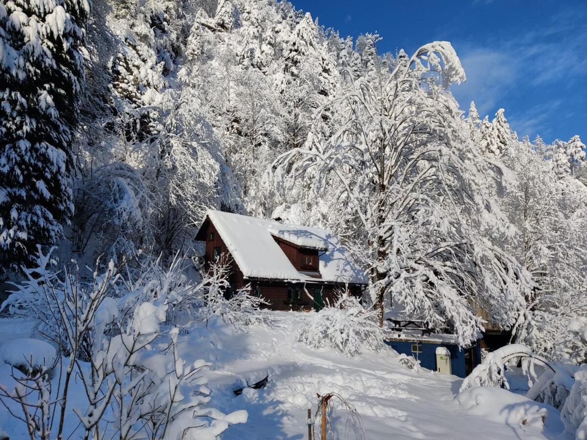 Idyllic Mountain Huette -Gesaeuse Nationalpark Villa Landl  Екстериор снимка