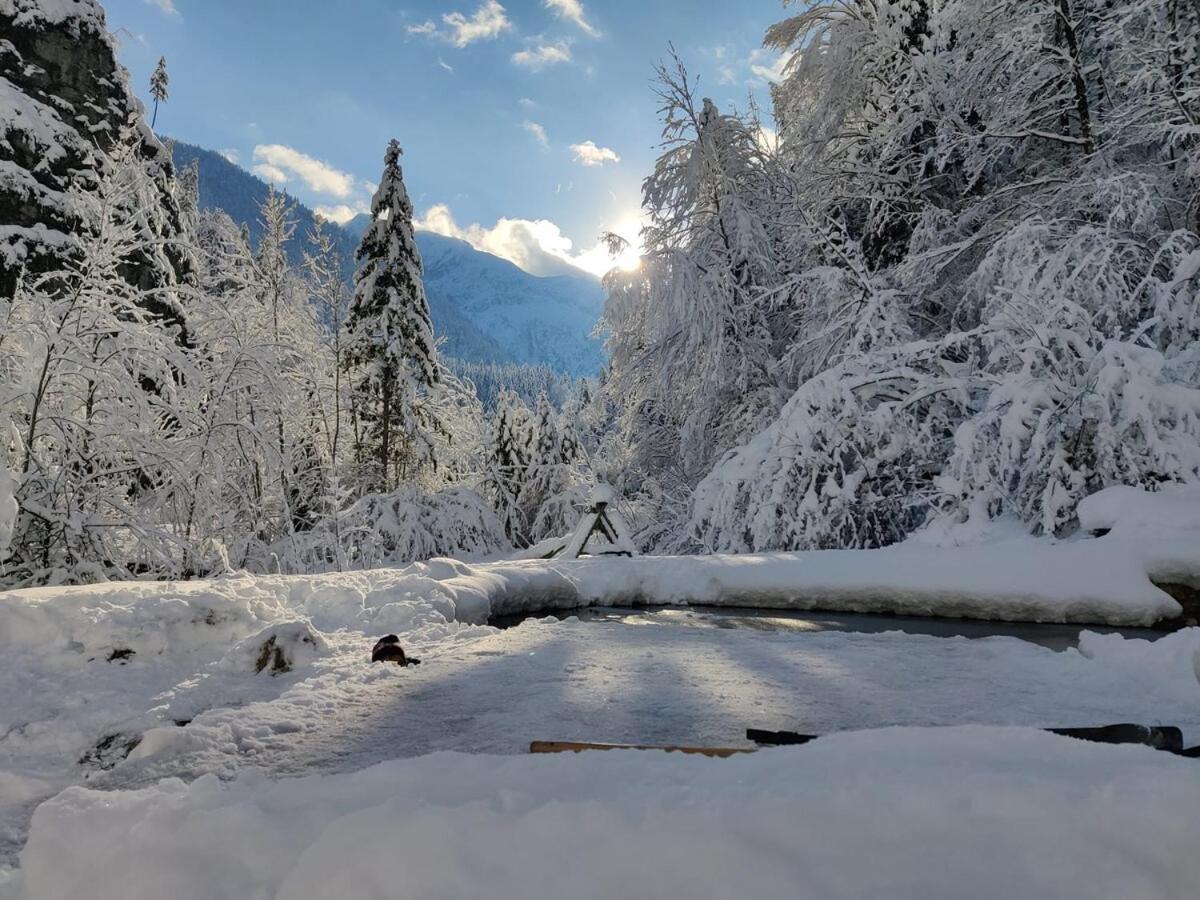 Idyllic Mountain Huette -Gesaeuse Nationalpark Villa Landl  Екстериор снимка